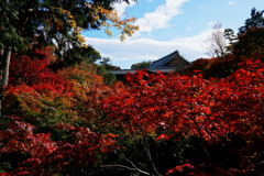 京都さんぽ。東福寺2