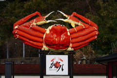 本場の蟹