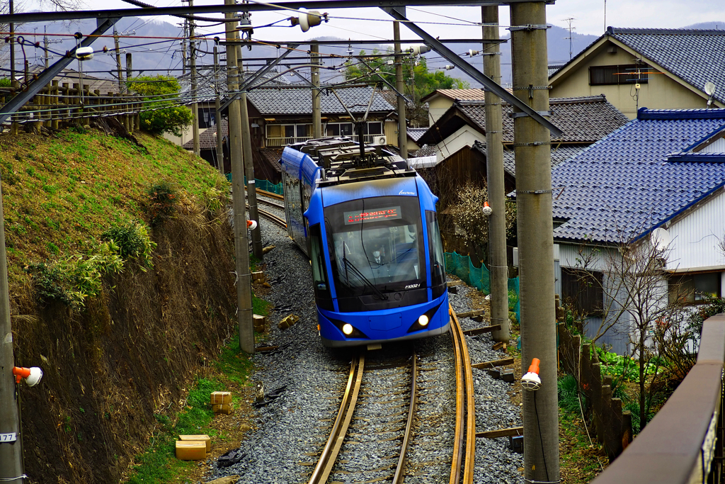 トコトコ走る