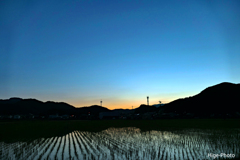 田んぼのトワイライト