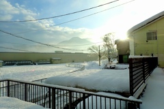 晴れ間がとても嬉しい！