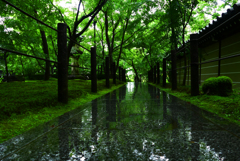 雨足強まりました。京都