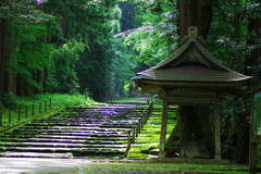 澄んだ空気
