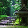 澄んだ空気