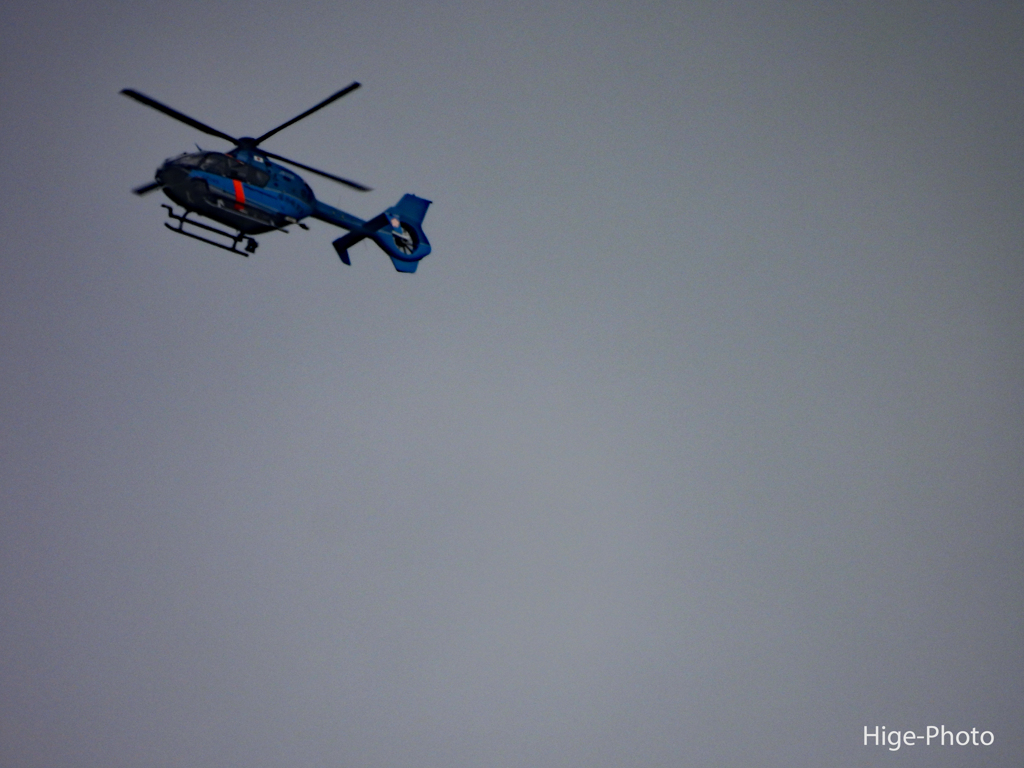 聖火ランナー追尾中