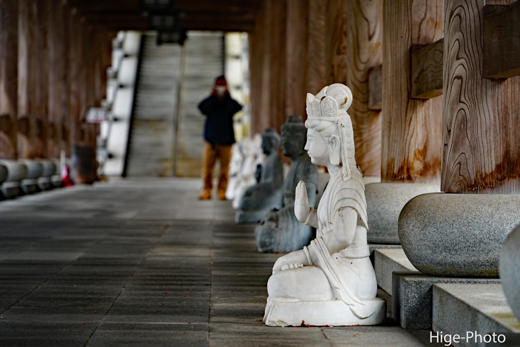 地元のお寺。やっほ～！の画
