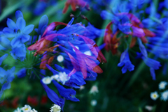 暁の時間。二重露出