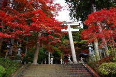 古い神社