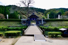 唐門
