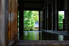 天龍寺の床は映る