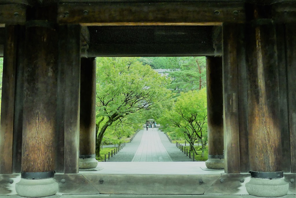 見頃の時期にはおいでやす。南禅寺