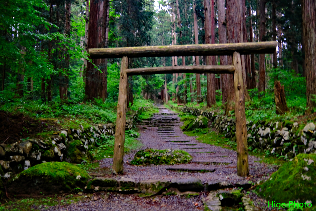 ここから先は神の領域。行きはよいよい…