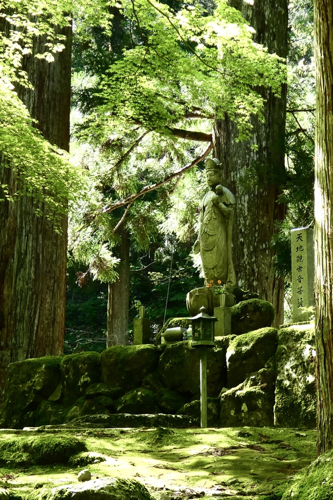 初夏の永平寺