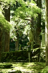 初夏の永平寺