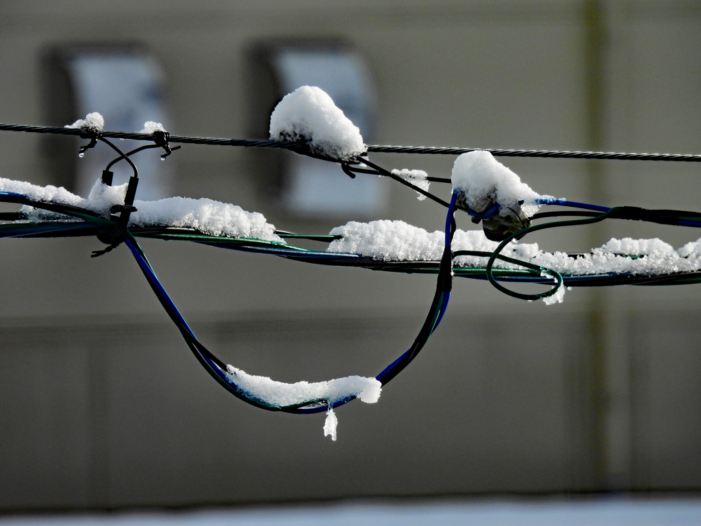 積雪は控えめに