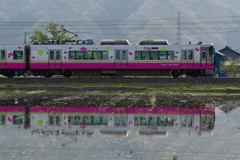 田んぼに水が張られた（電車）
