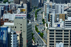 道