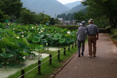 淡く紅さす光景