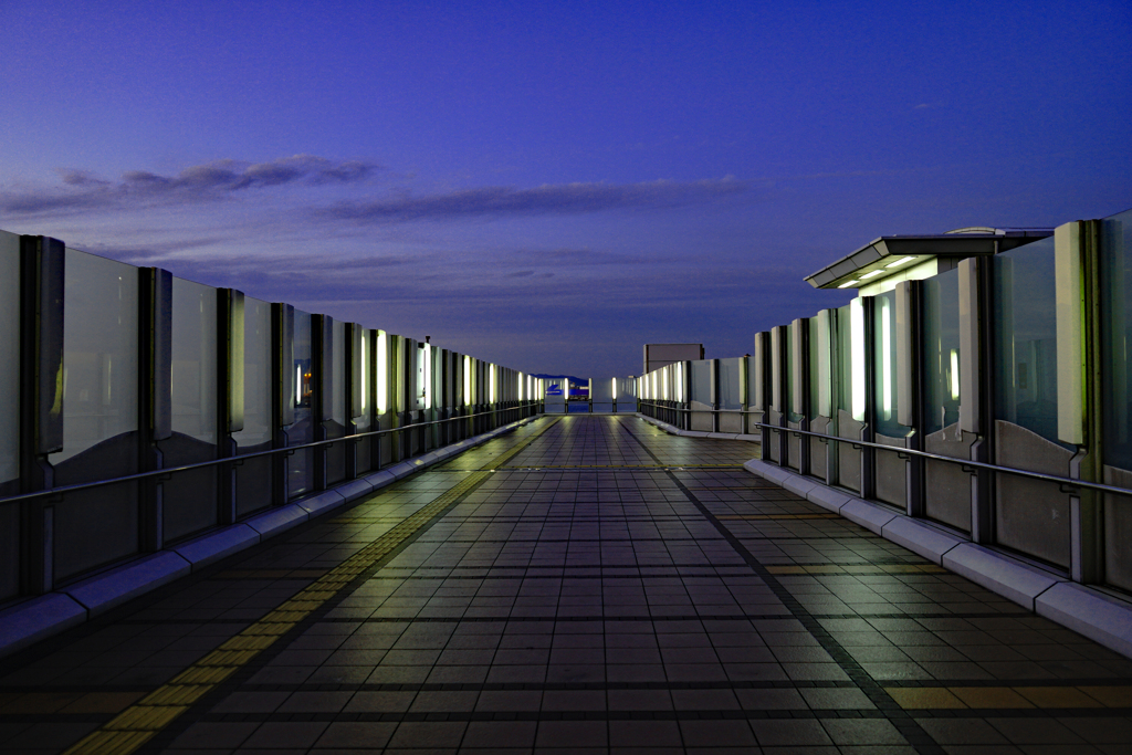 海につながる歩道橋
