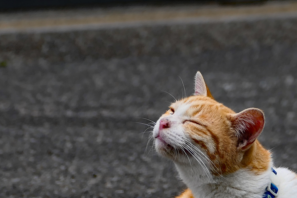 いい天気～
