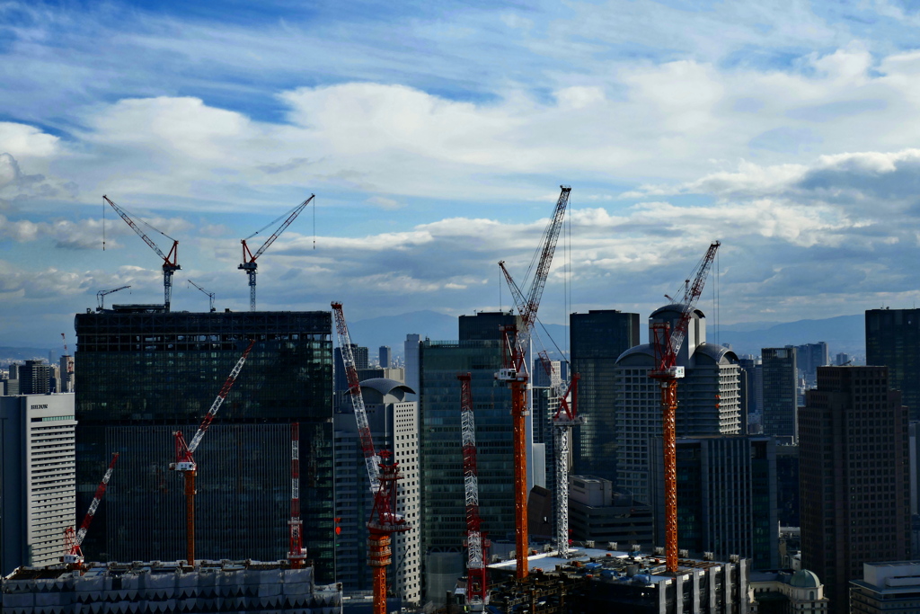 今しか見れない風景。かも…