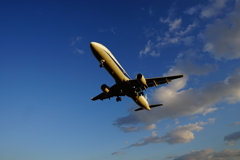 青空いっぱいに
