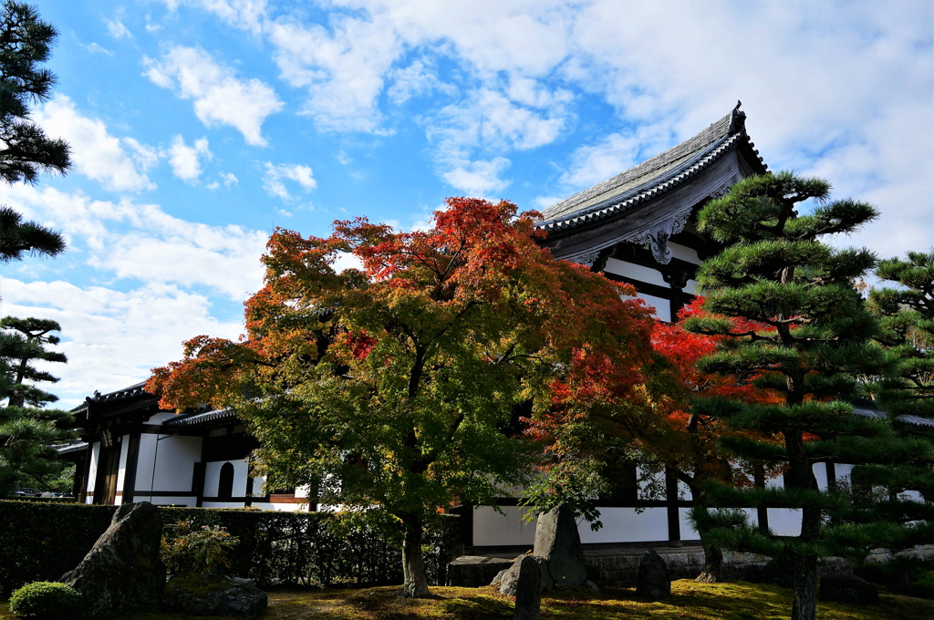 京都さんぽ。東福寺1