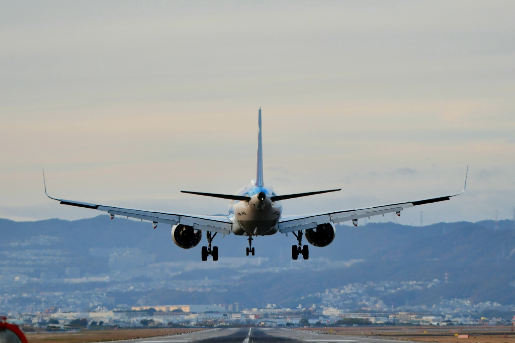 今年も飛行機でラスト