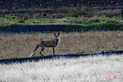 田んぼのど真ん中