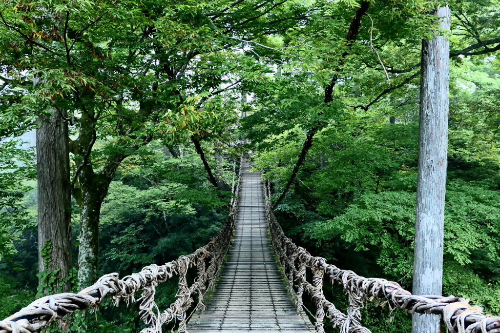 かづら橋