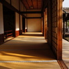 京都・光と影