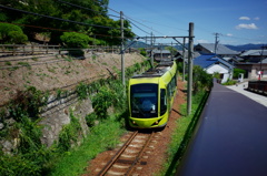 芋虫色の電車