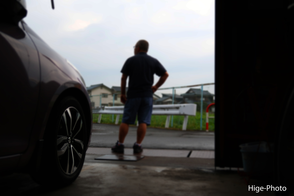 さあっ！散歩だ！