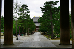 東大寺