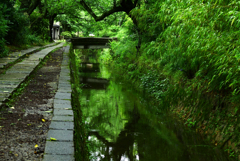 哲学の道は静か