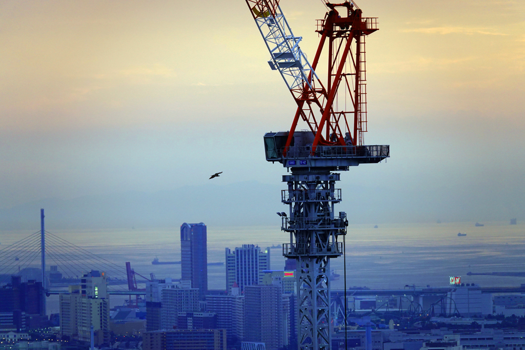 1時間だけ…鳥になりたい