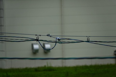 ネオ一眼対決RX10M4-400ｍｍ