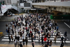 師走は早足（12/18T）