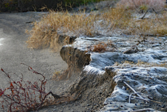 琵琶湖湖畔は氷点下でした