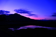 オラが村、紫の景色