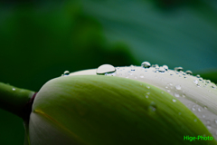 雨がのこしたものⅠ
