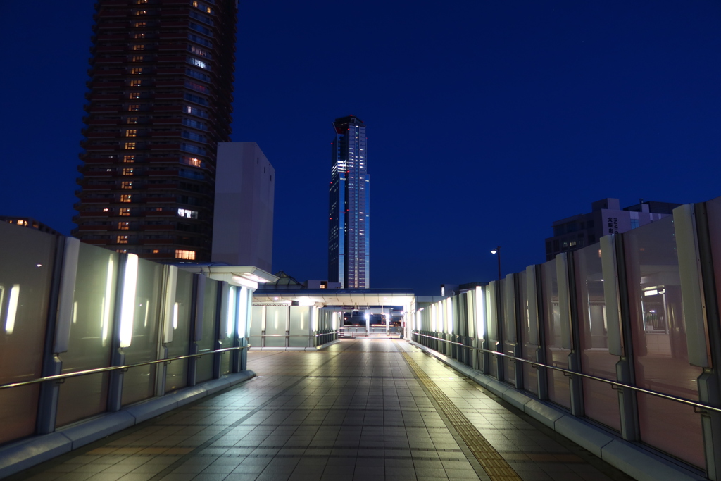 夜のコスモタワー