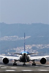 真後ろ