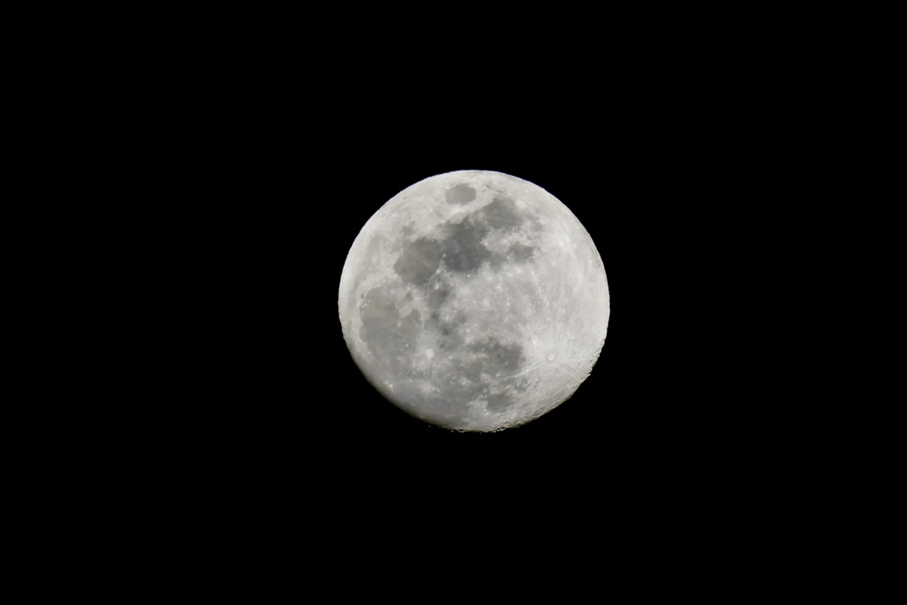 昨夜は綺麗な月でした