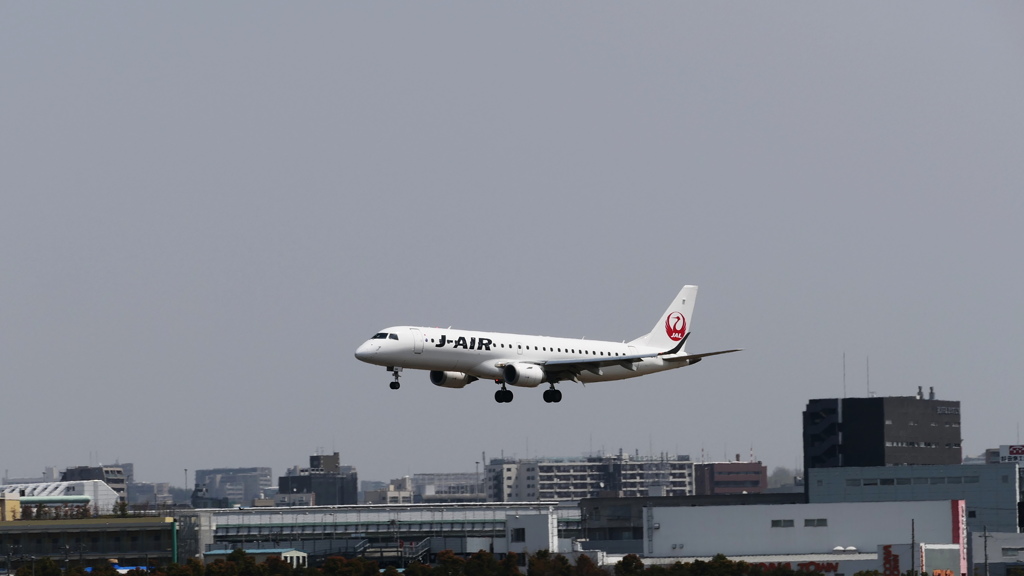 バッテリー1個で800枚撮れたんやけど何かの間違い？