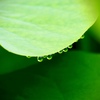 雫