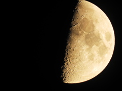 今夜は空気も澄んでいい月