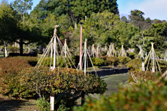 明日から大雪の予報