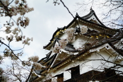 花曇りでお城が綺麗