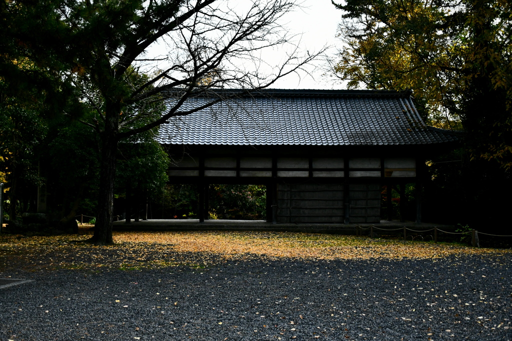 全部落ちた